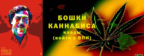 СК Аркадак