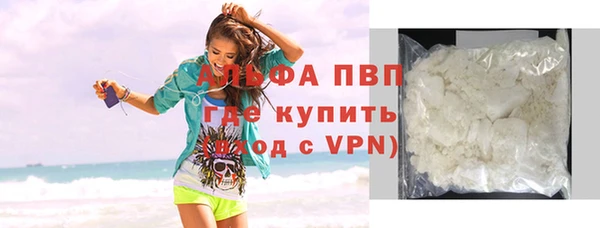СК Аркадак