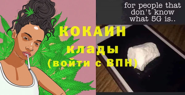 соль ск Арсеньев
