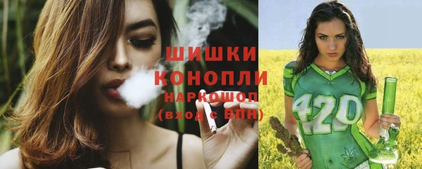 соль ск Арсеньев